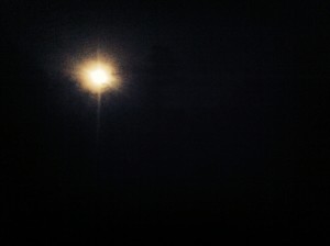 photo (3)